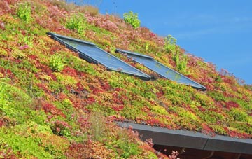 Dunwish living roof systems
