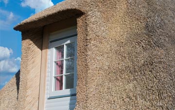Dunwish thatch roof disadvantages